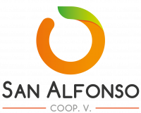 gallery/san alfonso - logo vertical (10x10 cm) color (2)